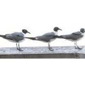 Jackie Hutto's photo