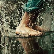 Nebal Tarek's photo