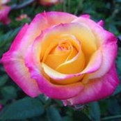 Tamarra Rodriguez-Casteel's photo