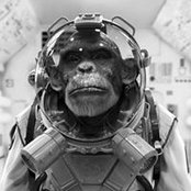 Benoit Chollet's photo
