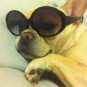 Judy Hsu's photo