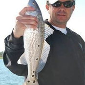 Chris Spiveys foto