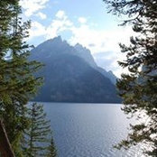 Dave Anthony's photo
