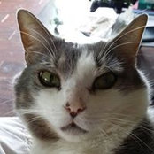 Amanda Russell Coolidge's photo