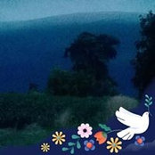 Aurore VD's photo