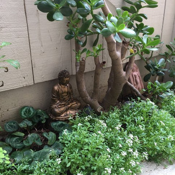 Garden path makeover