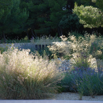 Un jardin naturel, ambiance graminée