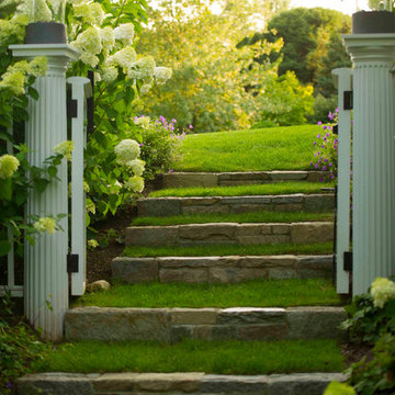 Paths and steps