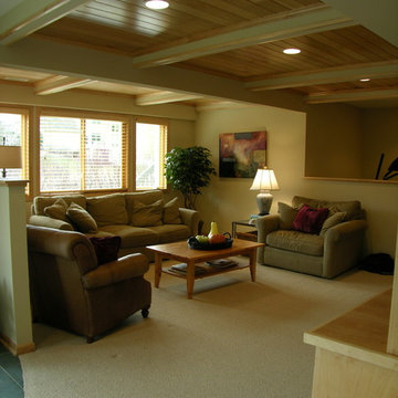 Basement Remodel