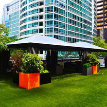 Synlawn