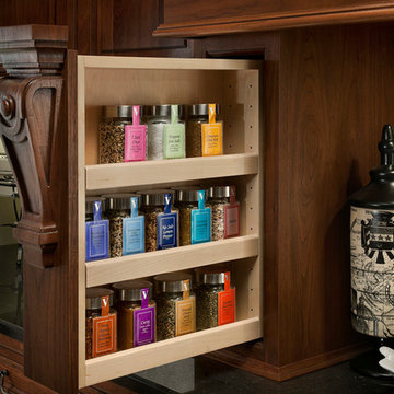 Pull-Out Spice Insert