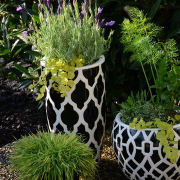 Contemporary Herb Containers