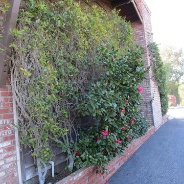 exterior clean up's before and after