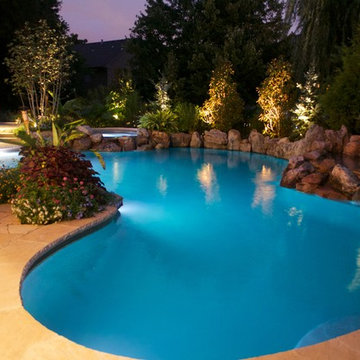 Backyard Oasis