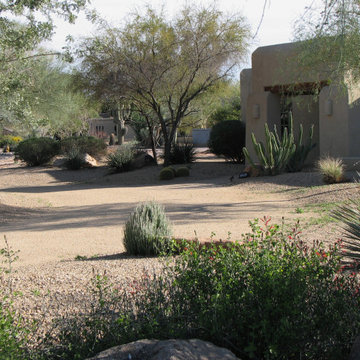 Native Desert Scape