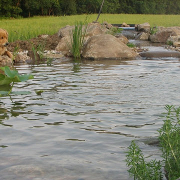 Yahara Ponds