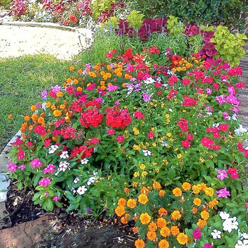 Seasonal Color