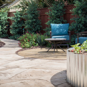 Backyard Circulation and Color