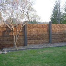 Exterior Back Yard