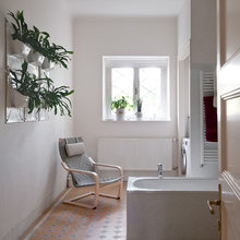 indoor plants