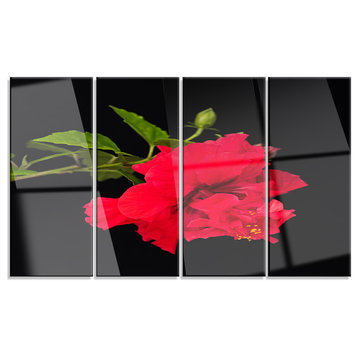 "Bright Red Hibiscus on Black" Metal Wall Art, 4 Panels, 48"x28"
