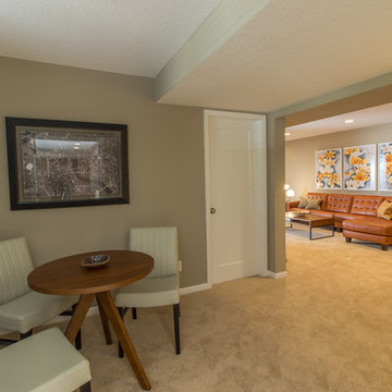 Project 3300-1 Basement Finish in Woodbury