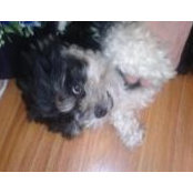 Patricia Blocker's photo