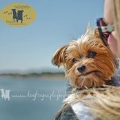Shauna Boyle's photo