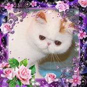 Dawn Reich's photo