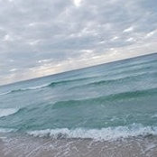 Alicia Hittle-Vallee's photo
