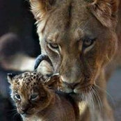 Lynn McCann's photo