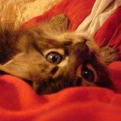 Foto de Connie Cantwell