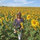 donna_smith17