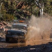 Maree Warren's photo