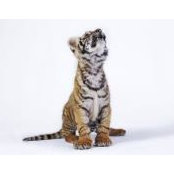 Emma Julia Swerts's photo
