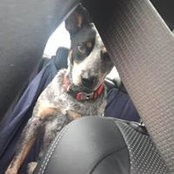Kelsey Gill's photo