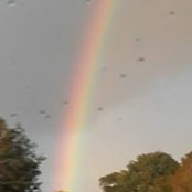 Jacqueline Simpson's photo