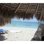 Toni Taragowski's photo