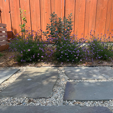 California Native Plants- Front and Back Yard Design