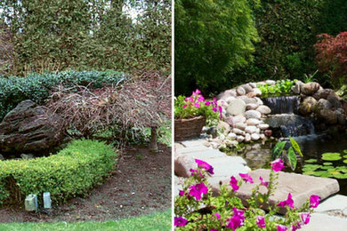 Before & After: Backyard