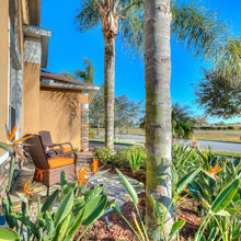 Landscaping Ideas
