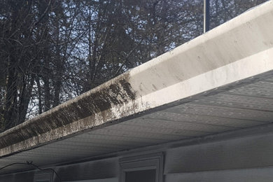 Gutter Cleaning
