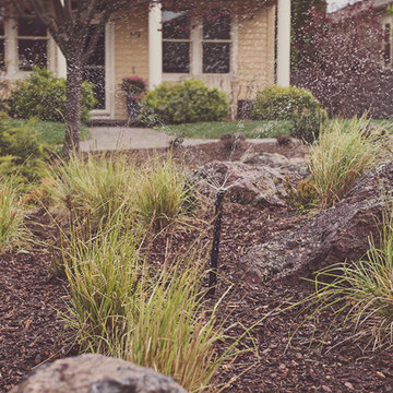 Spray Irrrigation with Grasses and Boulders