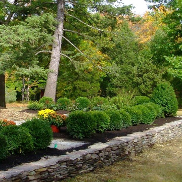 Planting