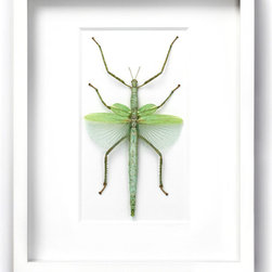 Wall Art - Products