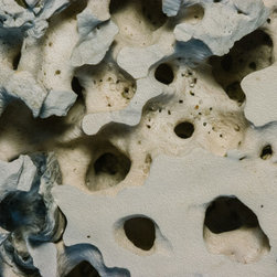 Coral Closeup - Artwork