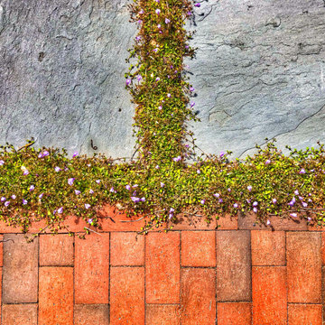 Details