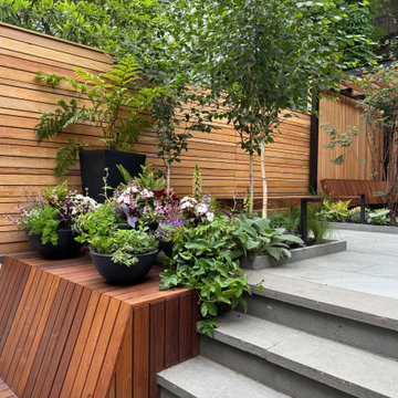 Carroll Gardens Modern