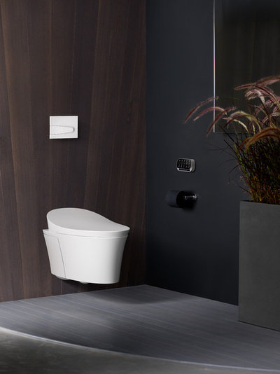 Straight Flush: High-Tech Toilets Usher Homes into the Future