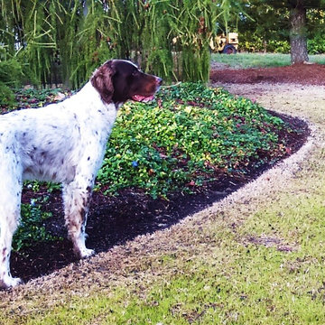 Gresham Estate Lawn Renovation Makeover